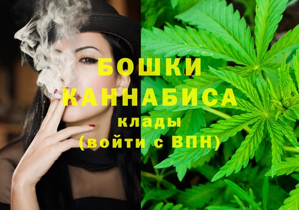 прущие грибы Переславль-Залесский