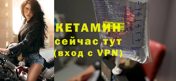 прущие грибы Переславль-Залесский