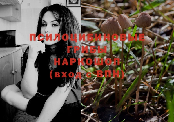 экстази Пересвет