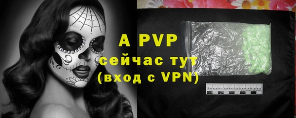 прущие грибы Переславль-Залесский