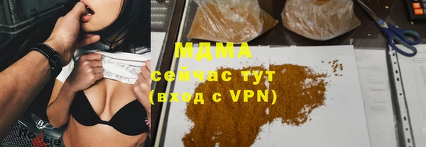 прущие грибы Переславль-Залесский