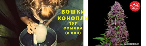 Альфа ПВП Пестово