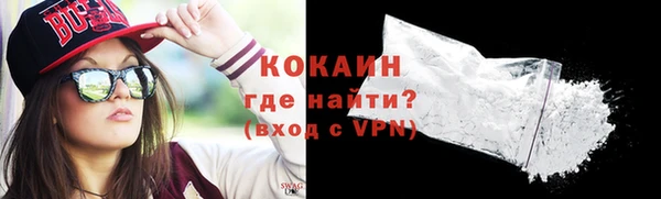 прущие грибы Переславль-Залесский