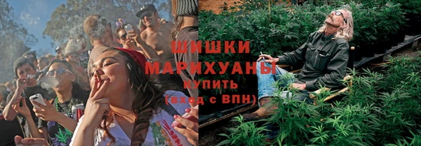 Альфа ПВП Пестово