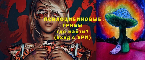 прущие грибы Переславль-Залесский