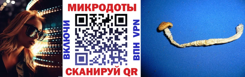 где продают   Закаменск  Псилоцибиновые грибы ЛСД 